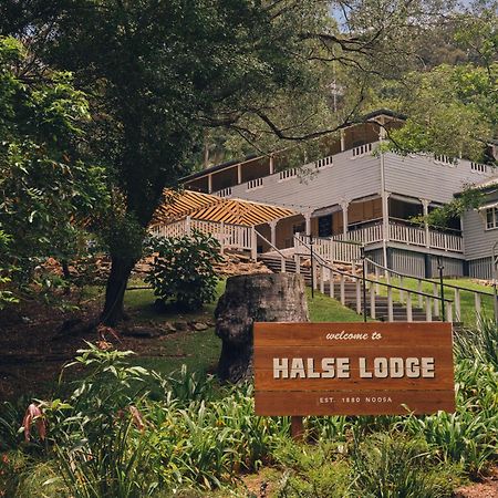 Halse Lodge Нуза Хедс Экстерьер фото